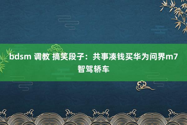 bdsm 调教 搞笑段子：共事凑钱买华为问界m7智驾轿车