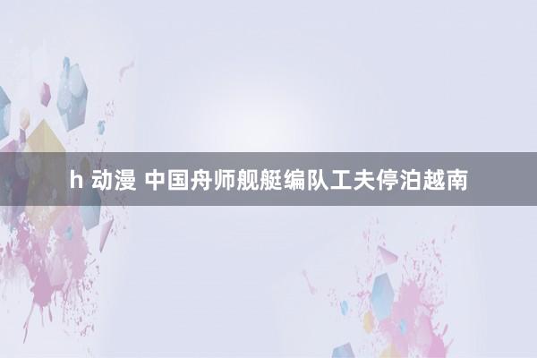 h 动漫 中国舟师舰艇编队工夫停泊越南