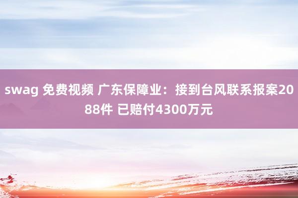 swag 免费视频 广东保障业：接到台风联系报案2088件 已赔付4300万元