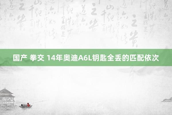 国产 拳交 14年奥迪A6L钥匙全丢的匹配依次