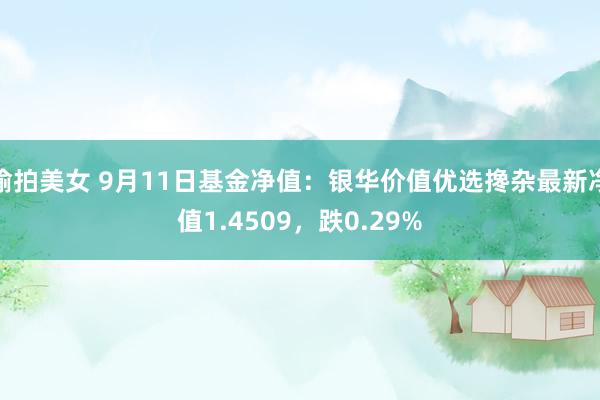 偷拍美女 9月11日基金净值：银华价值优选搀杂最新净值1.4509，跌0.29%