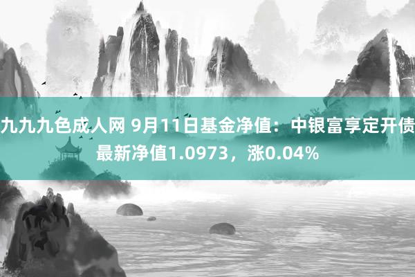 九九九色成人网 9月11日基金净值：中银富享定开债最新净值1.0973，涨0.04%