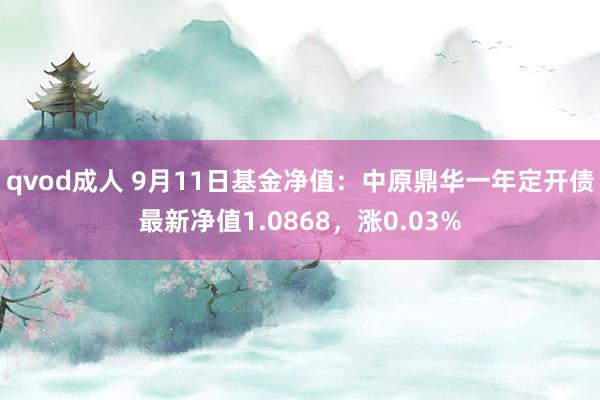 qvod成人 9月11日基金净值：中原鼎华一年定开债最新净值1.0868，涨0.03%