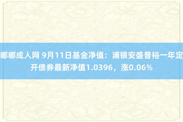 嘟嘟成人网 9月11日基金净值：浦银安盛普裕一年定开债券最新净值1.0396，涨0.06%