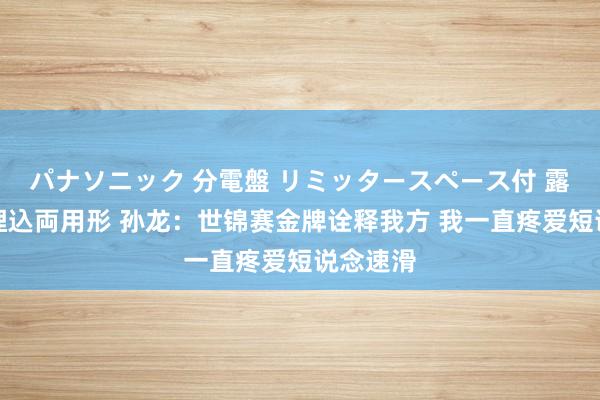 パナソニック 分電盤 リミッタースペース付 露出・半埋込両用形 孙龙：世锦赛金牌诠释我方 我一直疼爱短说念速滑