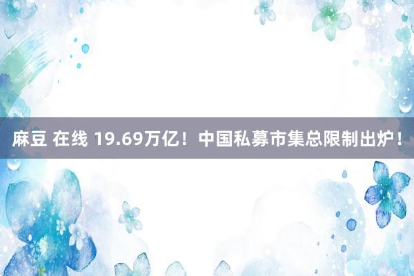 麻豆 在线 19.69万亿！中国私募市集总限制出炉！