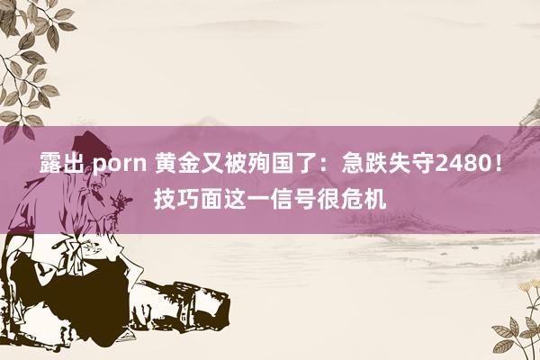 露出 porn 黄金又被殉国了：急跌失守2480！技巧面这一信号很危机