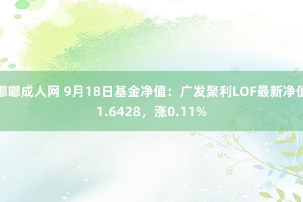 嘟嘟成人网 9月18日基金净值：广发聚利LOF最新净值1.6428，涨0.11%