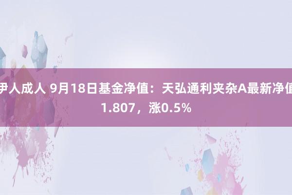 伊人成人 9月18日基金净值：天弘通利夹杂A最新净值1.807，涨0.5%