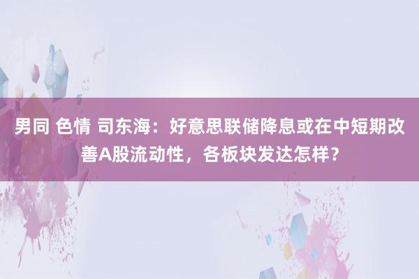 男同 色情 司东海：好意思联储降息或在中短期改善A股流动性，各板块发达怎样？