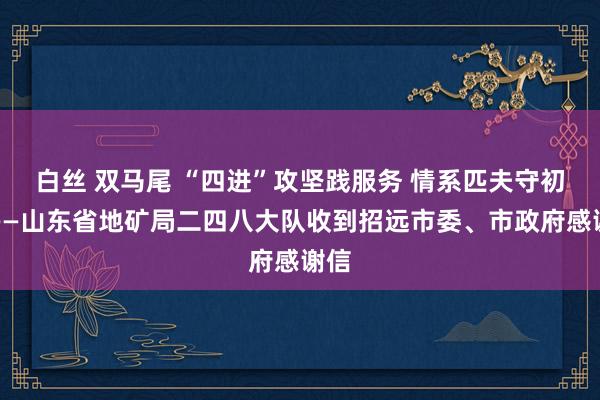 白丝 双马尾 “四进”攻坚践服务 情系匹夫守初心——山东省地矿局二四八大队收到招远市委、市政府感谢信