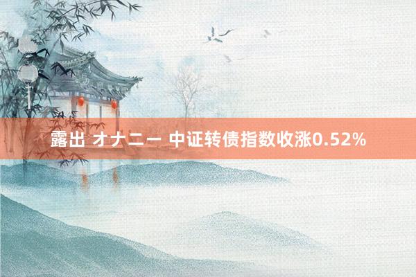 露出 オナニー 中证转债指数收涨0.52%