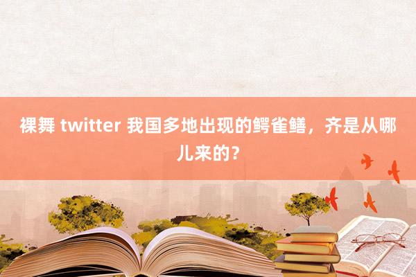 裸舞 twitter 我国多地出现的鳄雀鳝，齐是从哪儿来的？