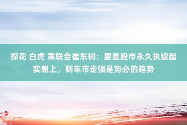 探花 白虎 乘联会崔东树：要是股市永久执续踏实朝上，则车市走强是势必的趋势