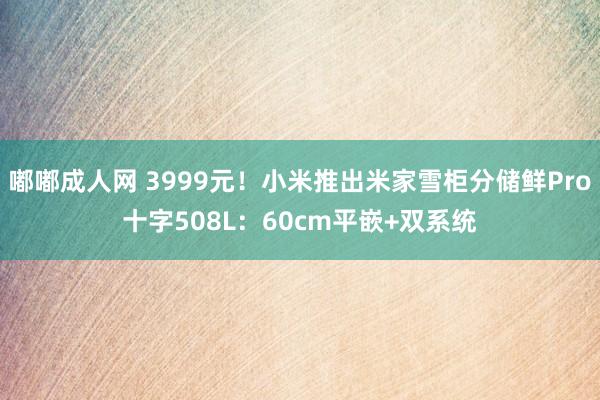 嘟嘟成人网 3999元！小米推出米家雪柜分储鲜Pro十字508L：60cm平嵌+双系统