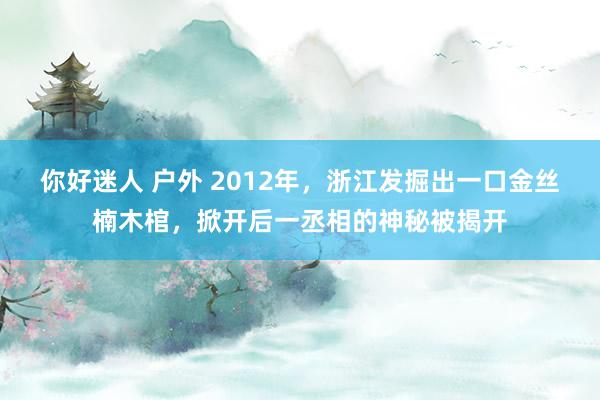 你好迷人 户外 2012年，浙江发掘出一口金丝楠木棺，掀开后一丞相的神秘被揭开