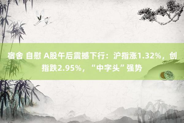 宿舍 自慰 A股午后震撼下行：沪指涨1.32%，创指跌2.95%，“中字头”强势