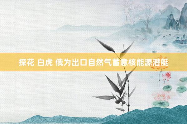 探花 白虎 俄为出口自然气蓄意核能源潜艇