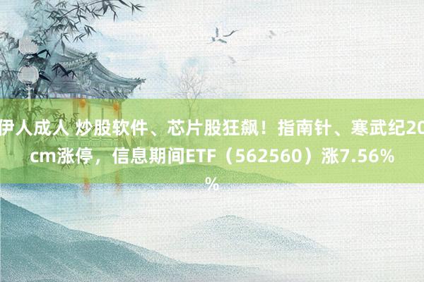 伊人成人 炒股软件、芯片股狂飙！指南针、寒武纪20cm涨停，信息期间ETF（562560）涨7.56%