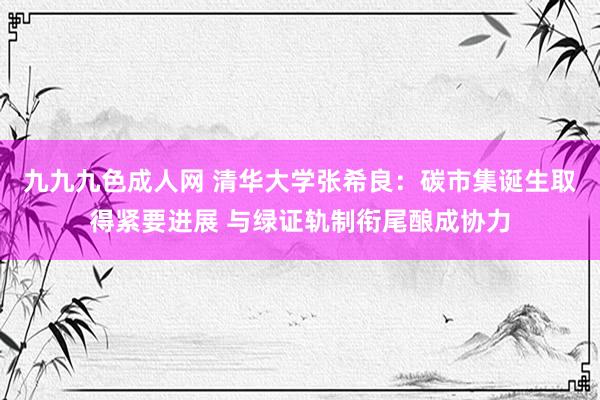 九九九色成人网 清华大学张希良：碳市集诞生取得紧要进展 与绿证轨制衔尾酿成协力