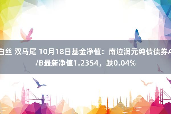 白丝 双马尾 10月18日基金净值：南边润元纯债债券A/B最新净值1.2354，跌0.04%