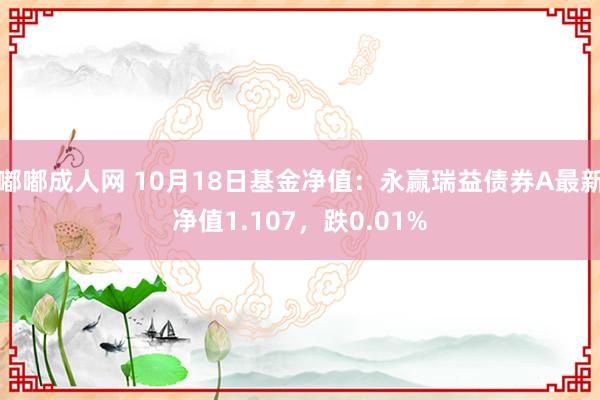 嘟嘟成人网 10月18日基金净值：永赢瑞益债券A最新净值1.107，跌0.01%