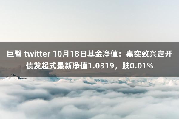 巨臀 twitter 10月18日基金净值：嘉实致兴定开债发起式最新净值1.0319，跌0.01%