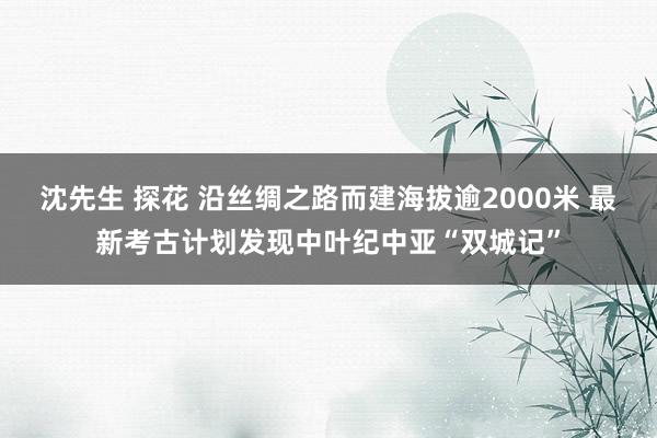 沈先生 探花 沿丝绸之路而建海拔逾2000米 最新考古计划发现中叶纪中亚“双城记”