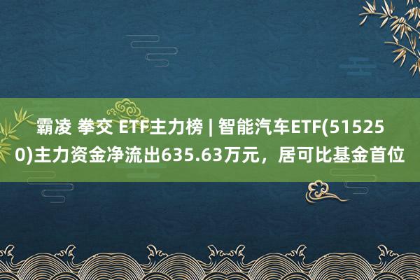 霸凌 拳交 ETF主力榜 | 智能汽车ETF(515250)主力资金净流出635.63万元，居可比基金首位