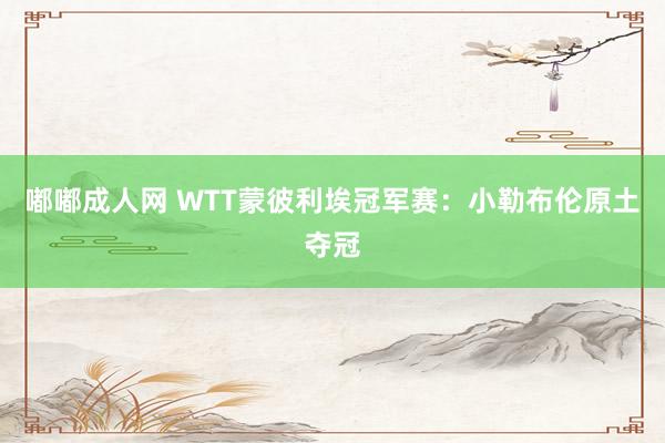 嘟嘟成人网 WTT蒙彼利埃冠军赛：小勒布伦原土夺冠