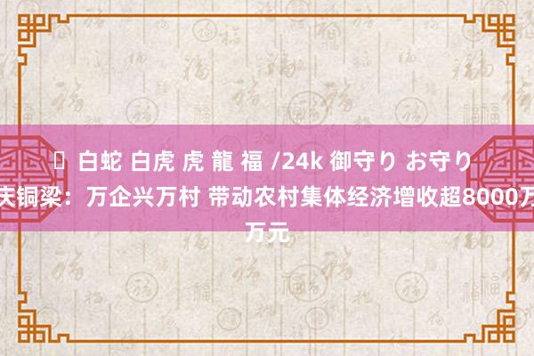 ✨白蛇 白虎 虎 龍 福 /24k 御守り お守り 重庆铜梁：万企兴万村 带动农村集体经济增收超8000万元