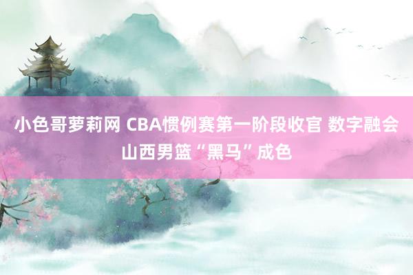 小色哥萝莉网 CBA惯例赛第一阶段收官 数字融会山西男篮“黑马”成色