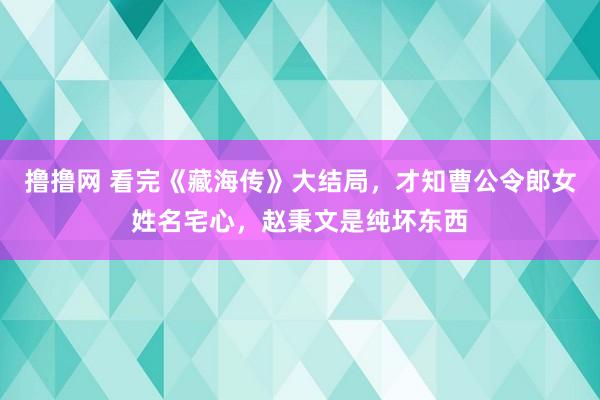 撸撸网 看完《藏海传》大结局，才知曹公令郎女姓名宅心，赵秉文是纯坏东西